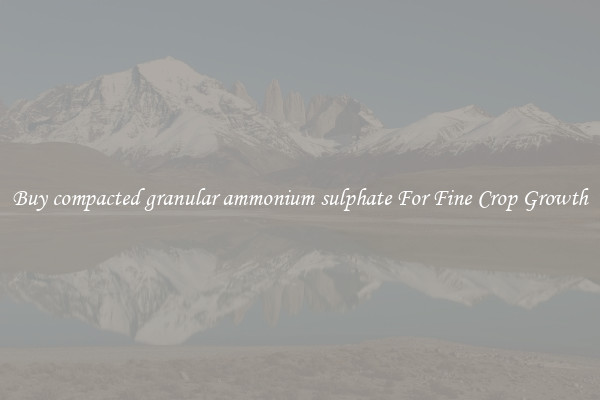 Buy compacted granular ammonium sulphate For Fine Crop Growth