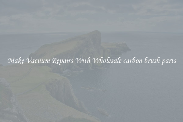 Make Vacuum Repairs With Wholesale carbon brush parts
