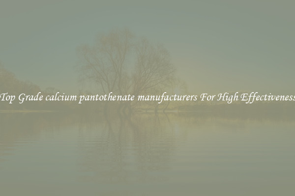 Top Grade calcium pantothenate manufacturers For High Effectiveness