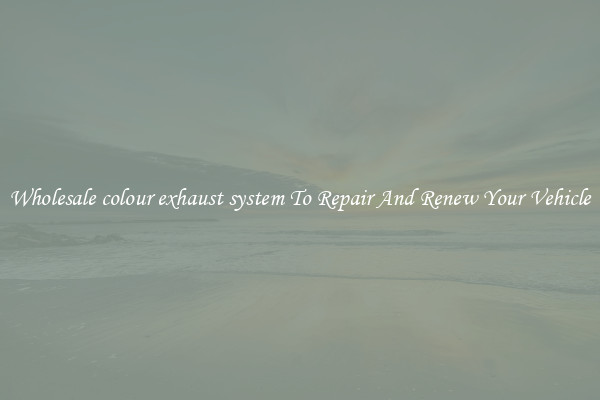 Wholesale colour exhaust system To Repair And Renew Your Vehicle