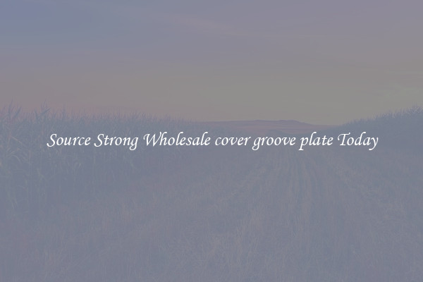 Source Strong Wholesale cover groove plate Today