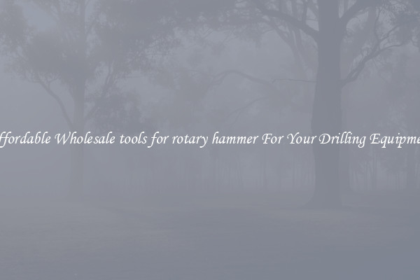 Affordable Wholesale tools for rotary hammer For Your Drilling Equipment