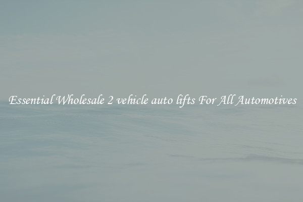 Essential Wholesale 2 vehicle auto lifts For All Automotives