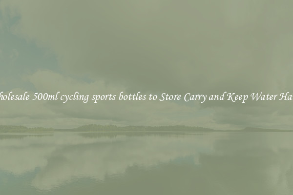 Wholesale 500ml cycling sports bottles to Store Carry and Keep Water Handy