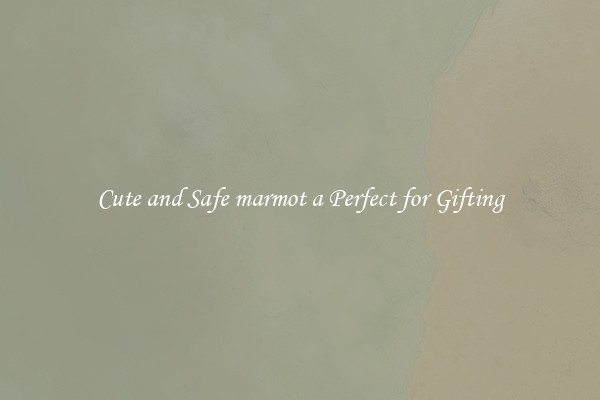 Cute and Safe marmot a Perfect for Gifting