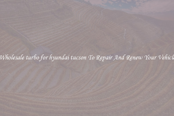 Wholesale turbo for hyundai tucson To Repair And Renew Your Vehicle