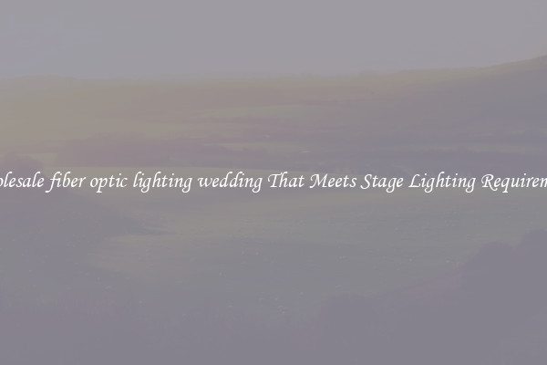 Wholesale fiber optic lighting wedding That Meets Stage Lighting Requirements
