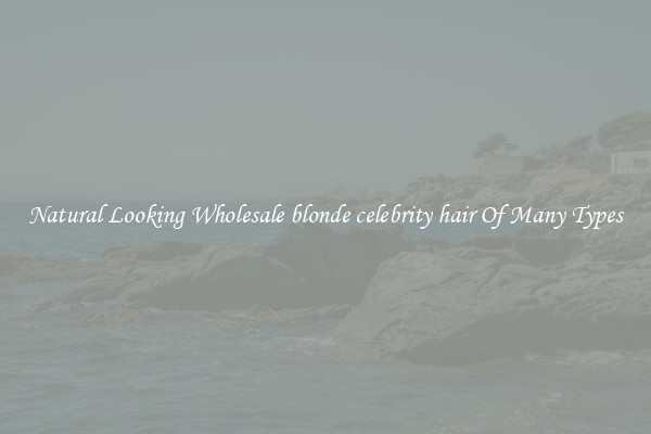 Natural Looking Wholesale blonde celebrity hair Of Many Types