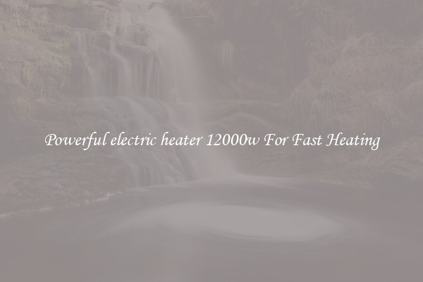Powerful electric heater 12000w For Fast Heating