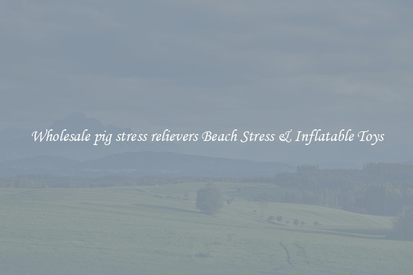 Wholesale pig stress relievers Beach Stress & Inflatable Toys