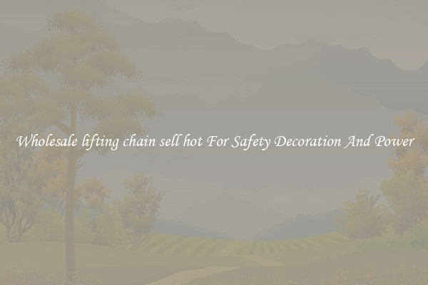 Wholesale lifting chain sell hot For Safety Decoration And Power