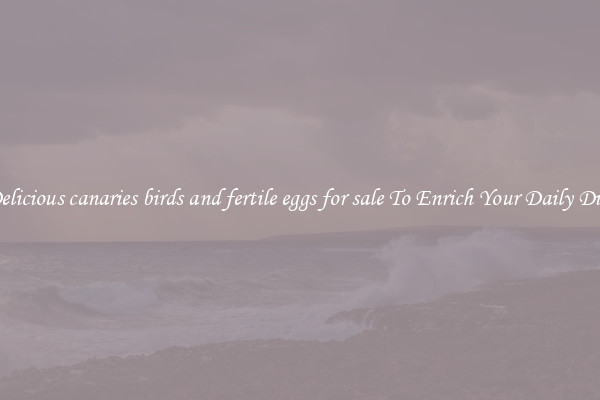 Delicious canaries birds and fertile eggs for sale To Enrich Your Daily Diet