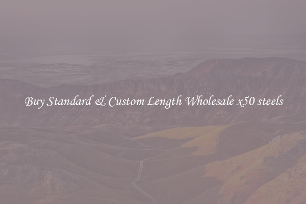 Buy Standard & Custom Length Wholesale x50 steels